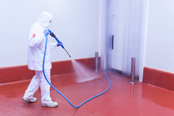 Best Pre-Holiday Cleaning  in Steelton, PA